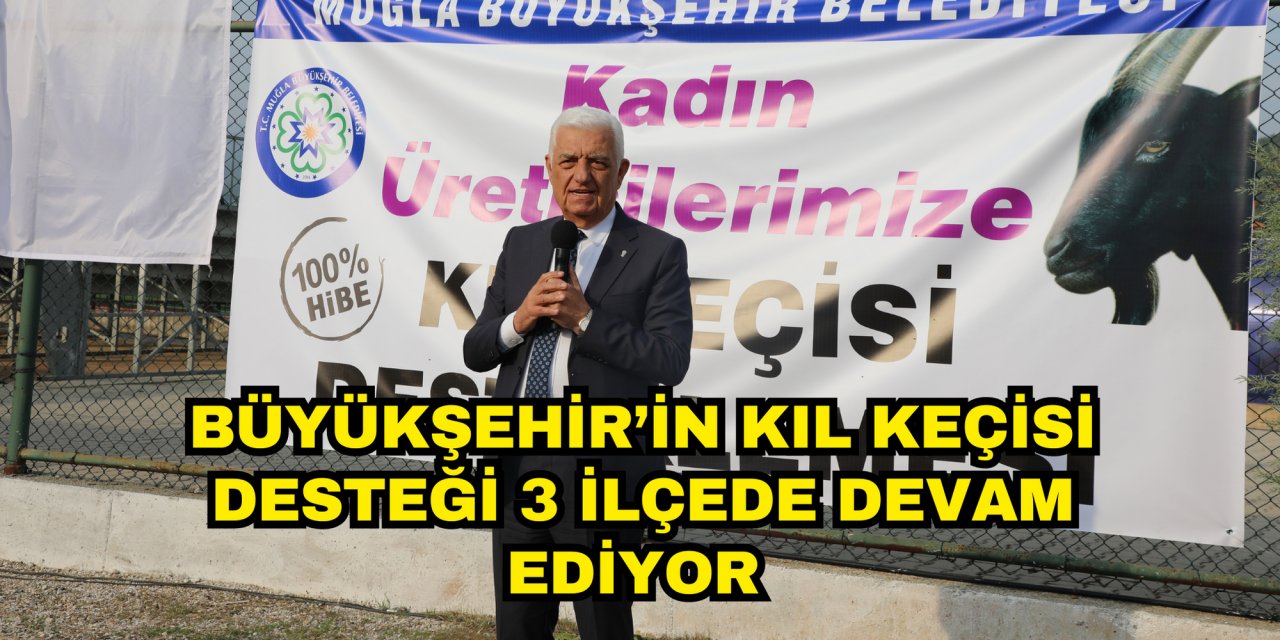 BÜYÜKŞEHİR’İN KIL KEÇİSİ DESTEĞİ 3 İLÇEDE DEVAM EDİYOR