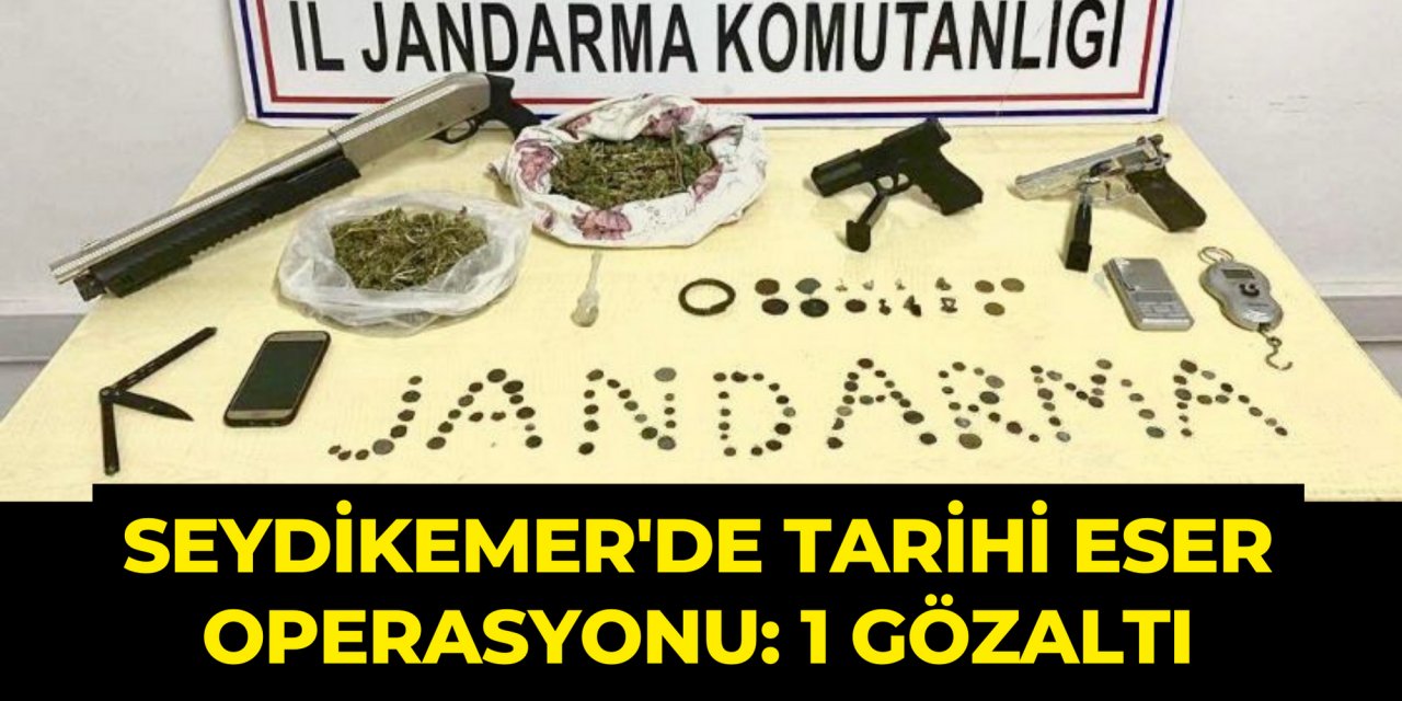 Seydikemer'de tarihi eser operasyonu: 1 gözaltı
