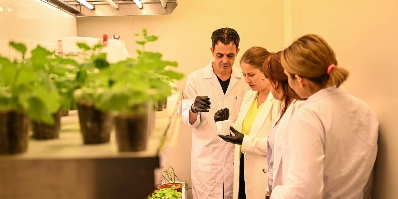 Türk bilim insanları uzayda bitki yetiştirecek