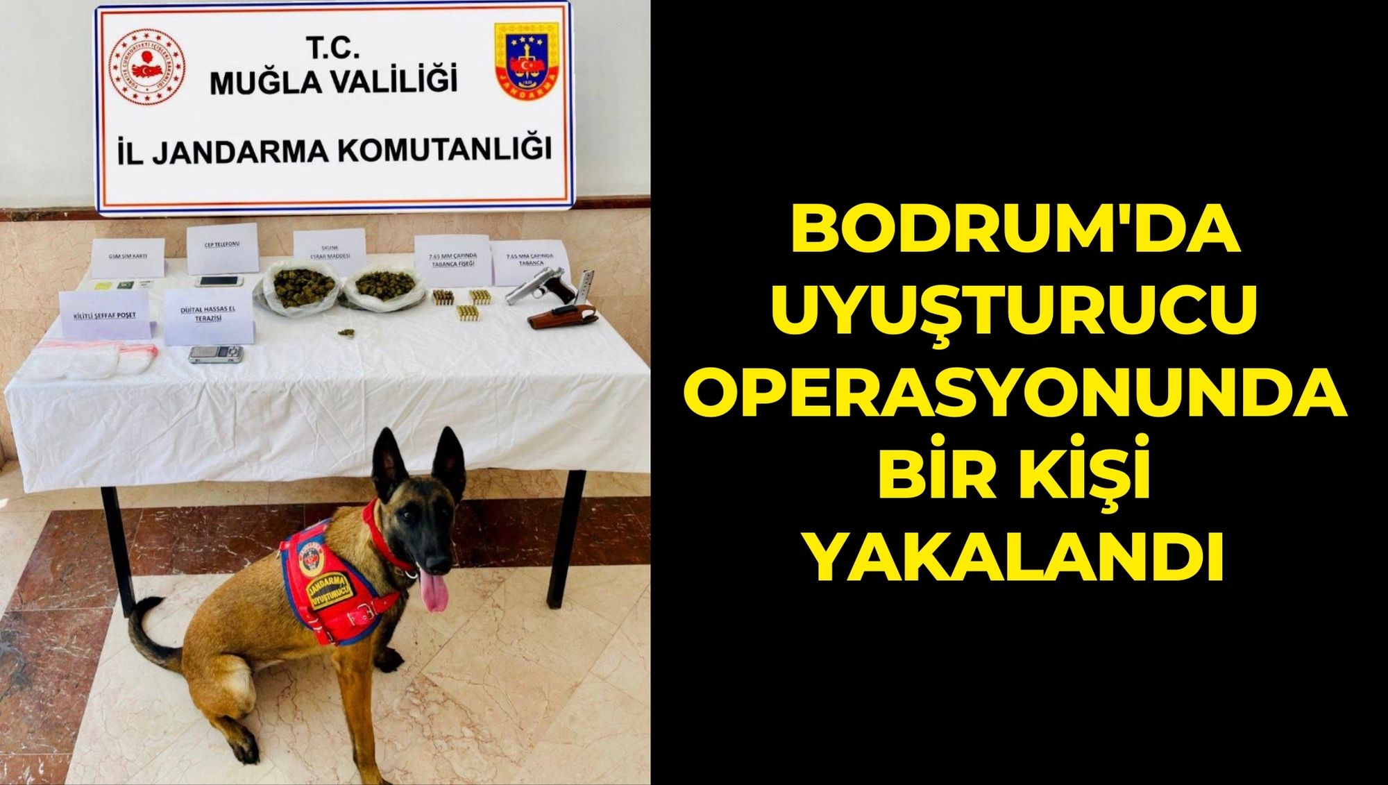 BODRUM'DA UYUŞTURUCU OPERASYONUNDA BİR KİŞİ YAKALANDI
