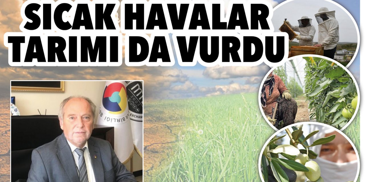 Sıcak havalar tarımı da vurdu