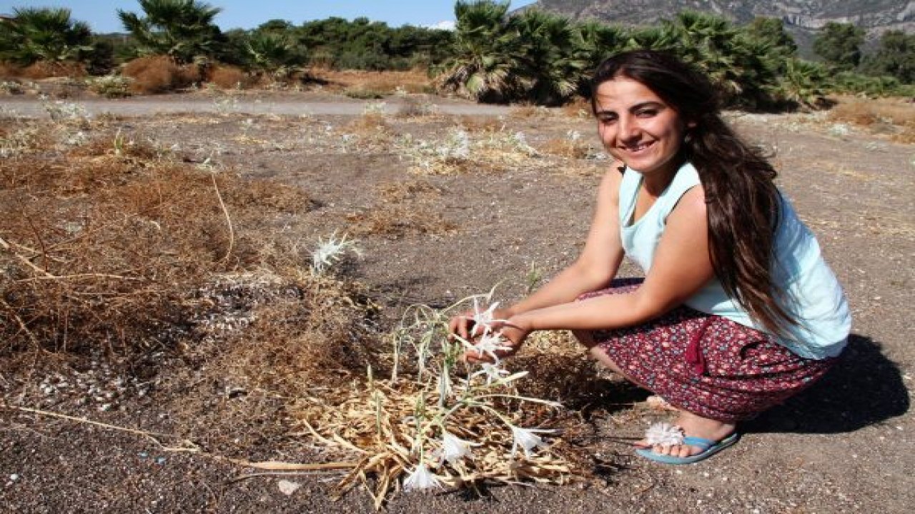 Kum zambakları tatilcileri uğurladı