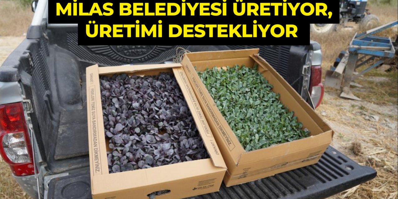MİLAS BELEDİYESİ ÜRETİYOR, ÜRETİMİ DESTEKLİYOR