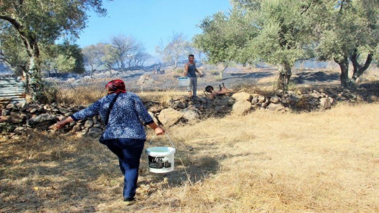 Alevler evlere 5 metre kala söndürüldü
