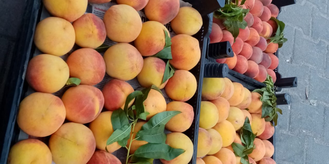 YATAĞANLI ÇİFTÇİ BERBEROĞLU:  “ŞEFTALİ SEZONU KAPANIYOR”