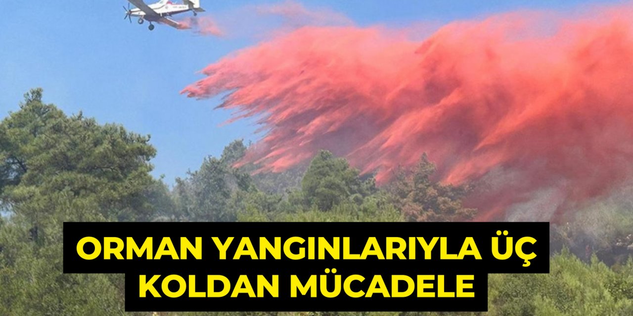 Orman yangınlarıyla üç koldan mücadele