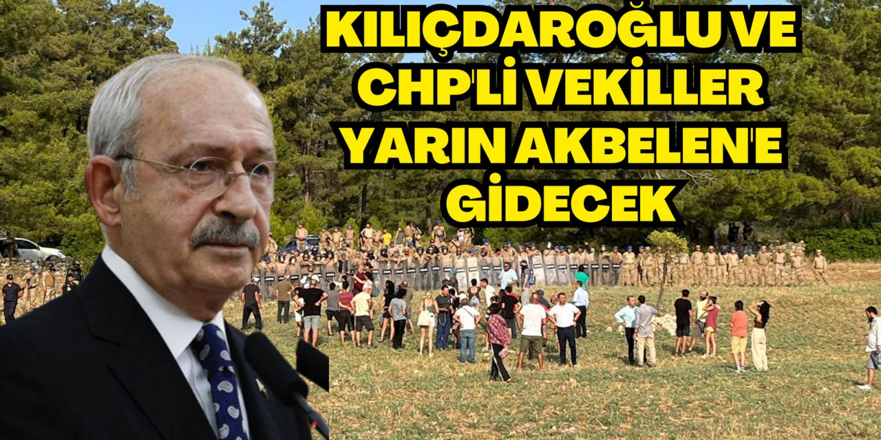 Kılıçdaroğlu ve CHP'li vekiller yarın Akbelen'e gidecek