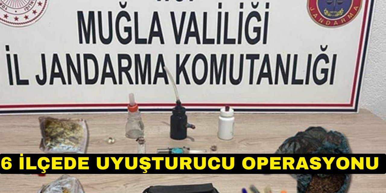 6 İLÇEDE UYUŞTURUCU OPERASYONU