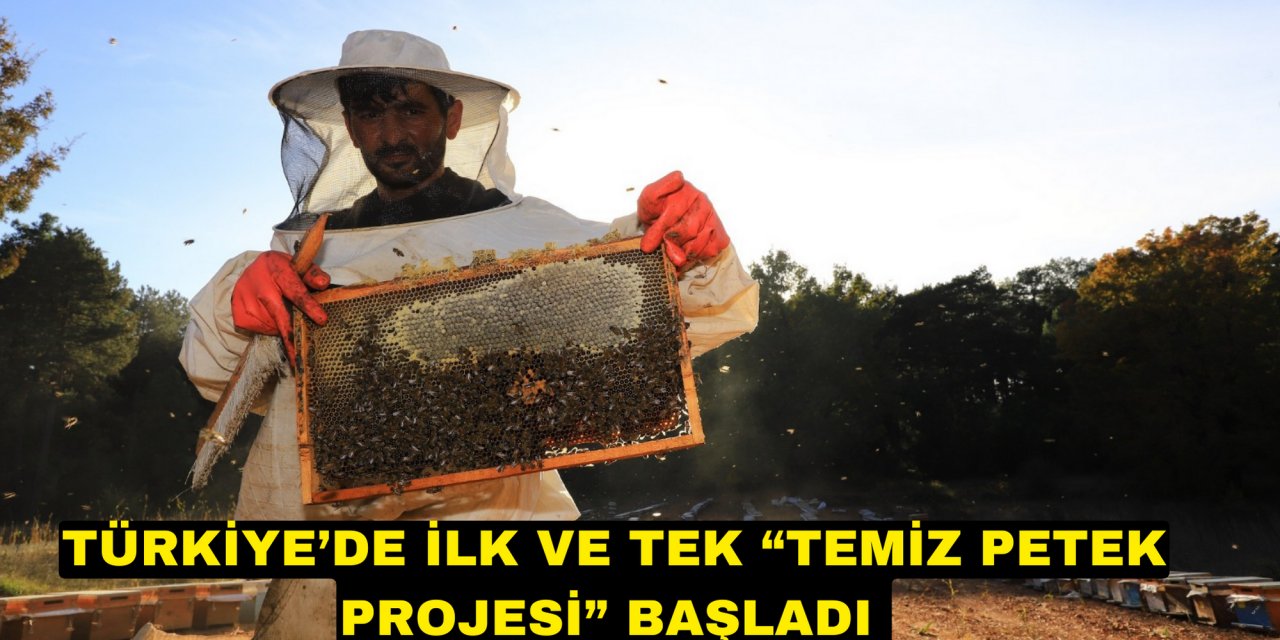 TÜRKİYE’DE İLK VE TEK “TEMİZ PETEK PROJESİ” BAŞLADI