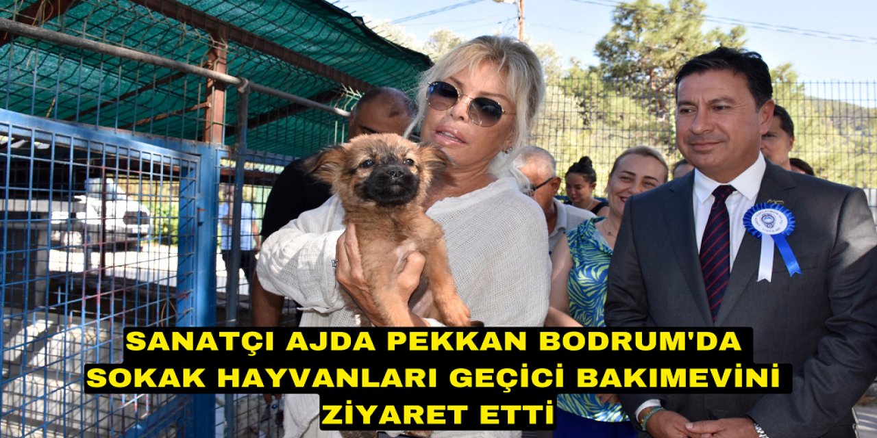 SANATÇI AJDA PEKKAN BODRUM'DA SOKAK HAYVANLARI GEÇİCİ BAKIMEVİNİ ZİYARET ETTİ
