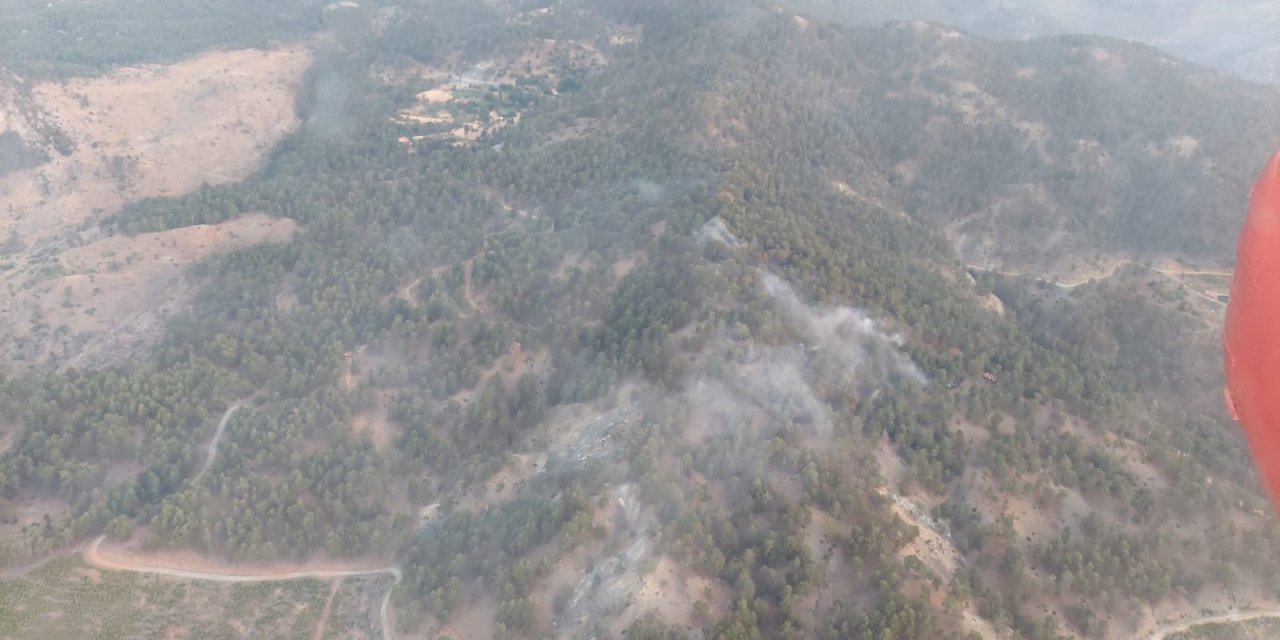 KÖYCEĞİZ’DE ORMAN YANGINI ÇIKTI