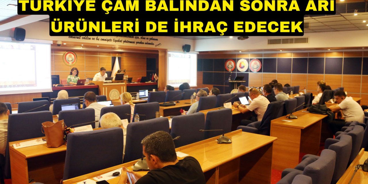 Türkiye çam balından sonra arı ürünleri de ihraç edecek