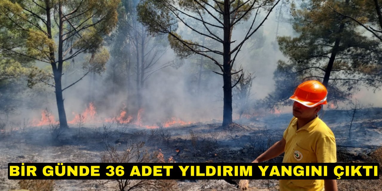 BİR GÜNDE 36 ADET YILDIRIM YANGINI ÇIKTI