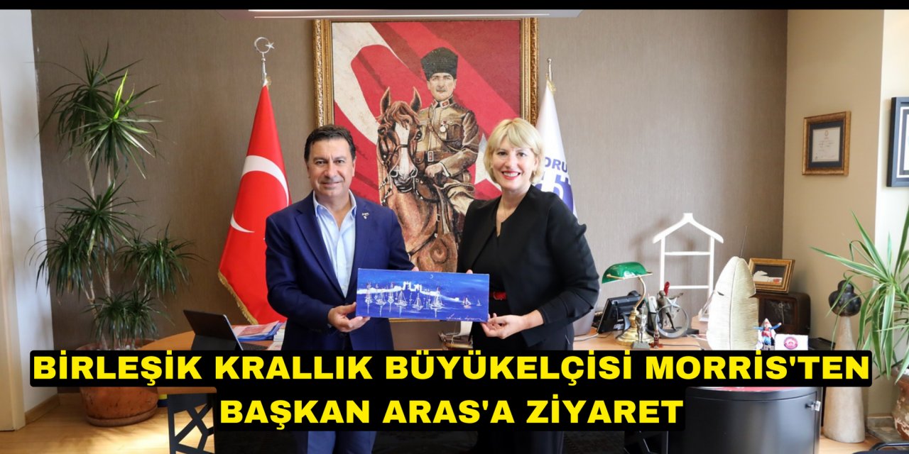 Birleşik Krallık Büyükelçisi Morris'ten Başkan Aras'a ziyaret