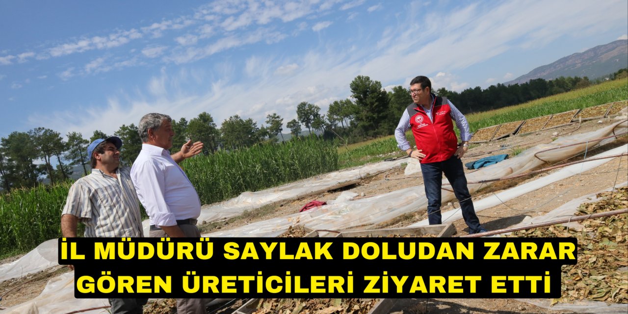 İL MÜDÜRÜ SAYLAK DOLUDAN ZARAR GÖREN ÜRETİCİLERİ ZİYARET ETTİ