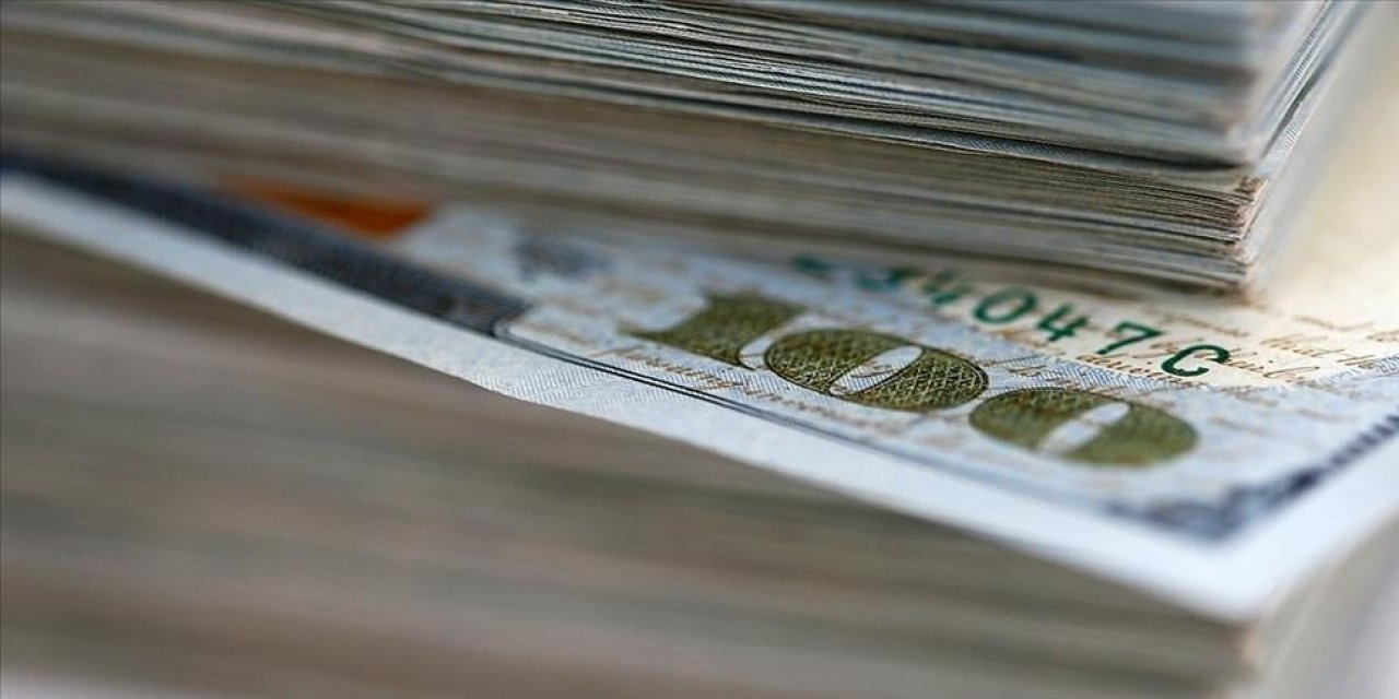 Merkez Bankası rezervleri 113,8 milyar dolara yükseldi