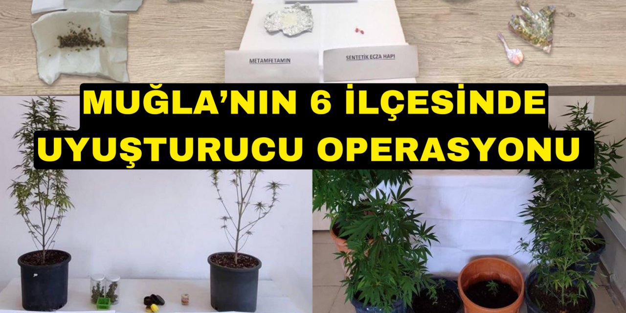 Muğla’nın 6 ilçesinde uyuşturucu operasyonu