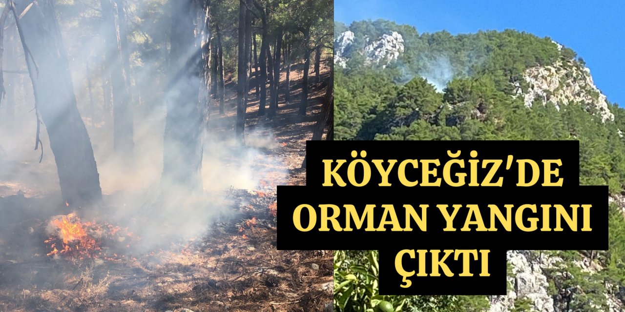 Köyceğiz ilçesinde çıkan orman yangını kontrol altına alındı