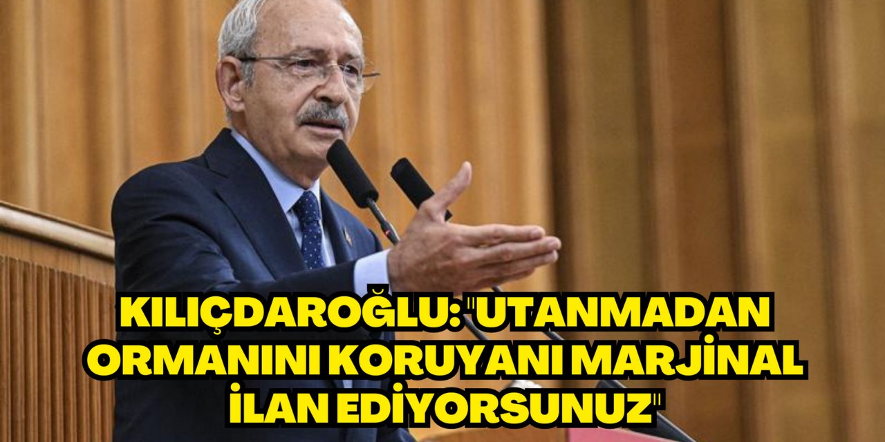 Kılıçdaroğlu: "Utanmadan ormanını koruyanı marjinal ilan ediyorsunuz"
