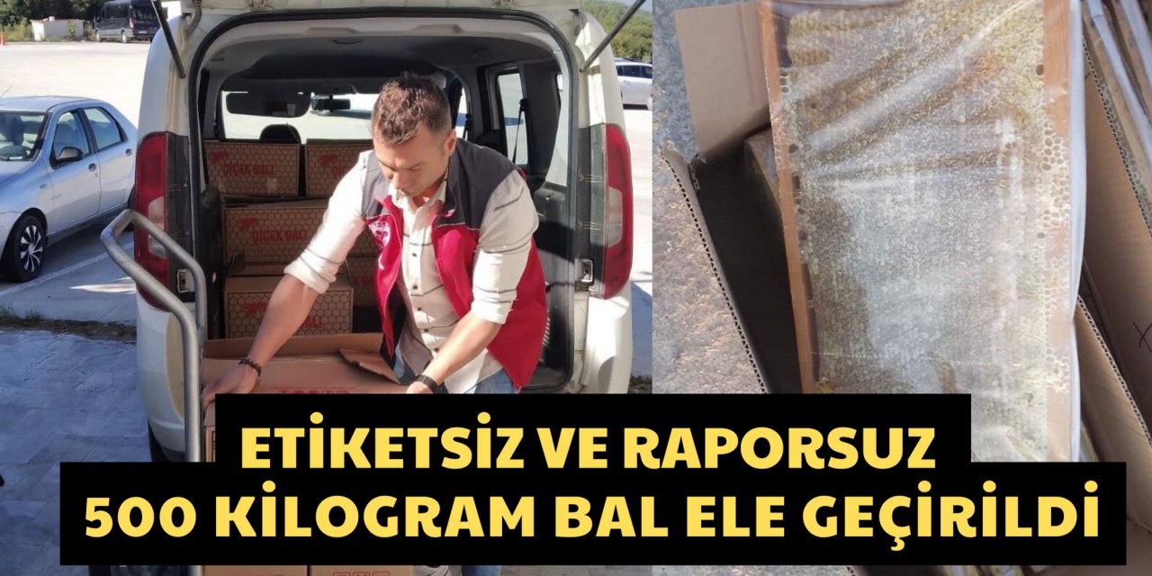Muğla'da etiketsiz ve raporsuz 500 kilogram bal ele geçirildi