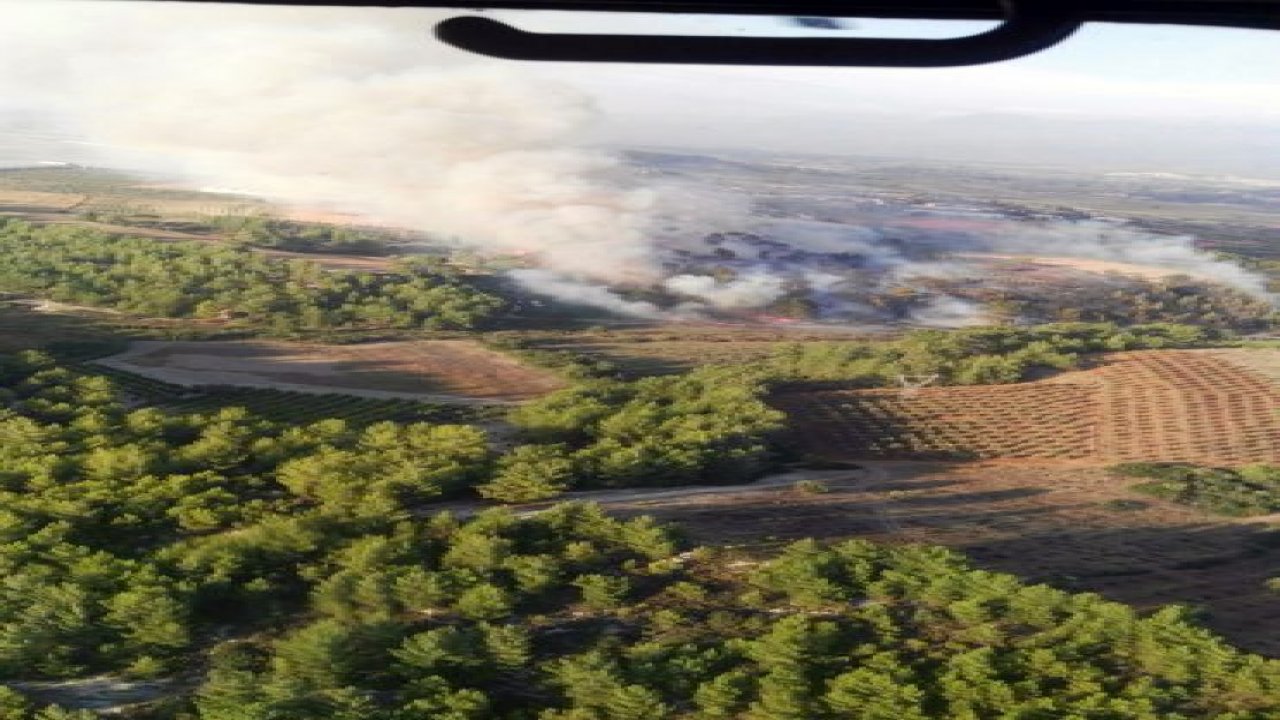 Seydikemer'de orman yangını