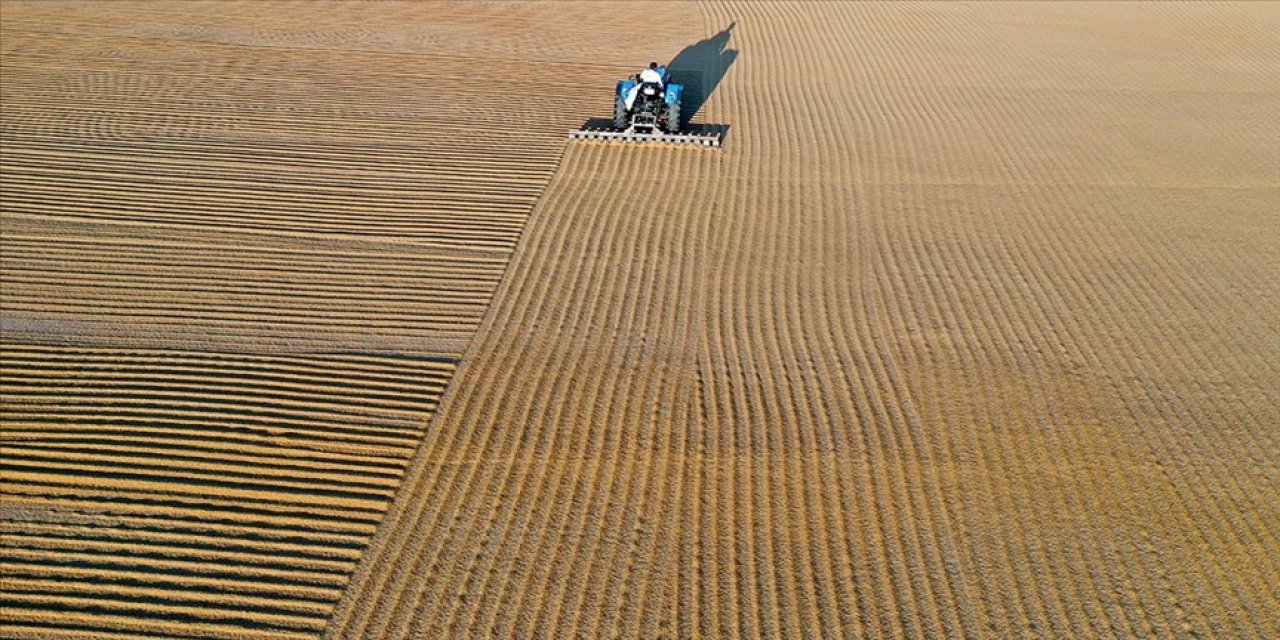 TÜRKİYE'DEN 8 AYDA 85 MİLYON 386 BİN DOLARLIK BULGUR İHRACATI YAPILDI