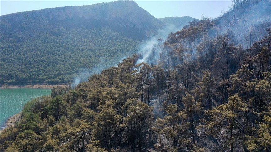 Orman yangınında 260 hektar alan zarar gördü