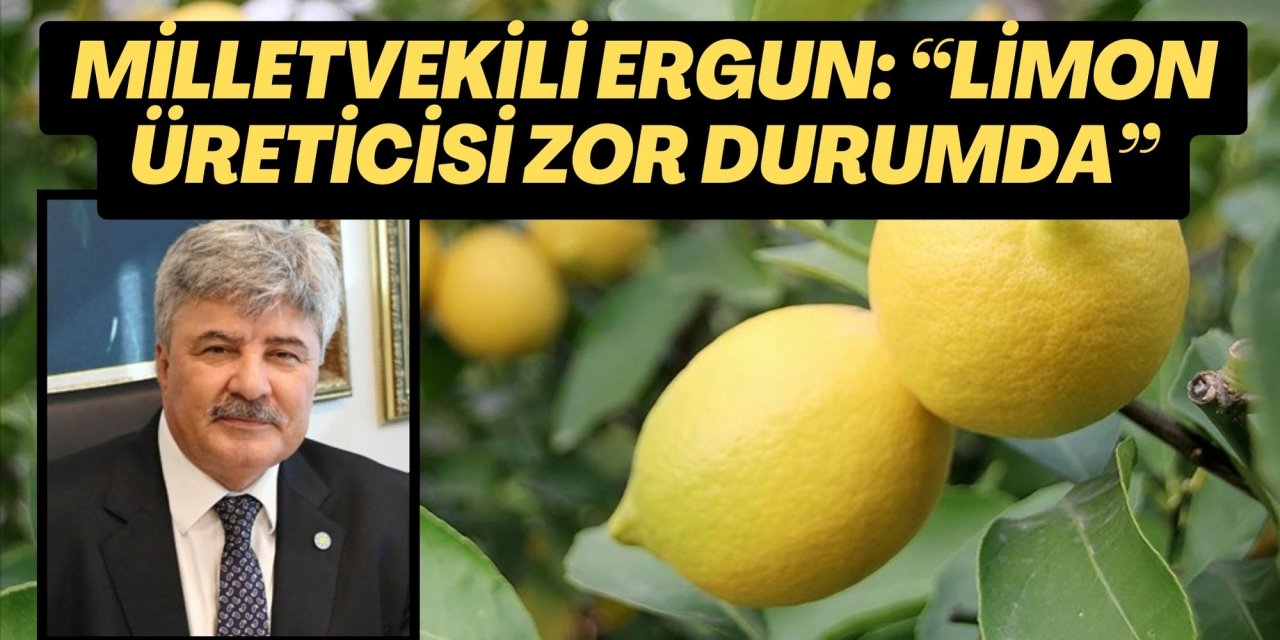 MİLLETVEKİLİ ERGUN: “LİMON ÜRETİCİSİ ZOR DURUMDA”
