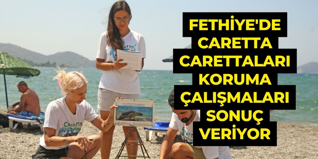 Fethiye'de caretta carettaları koruma çalışmaları sonuç veriyor