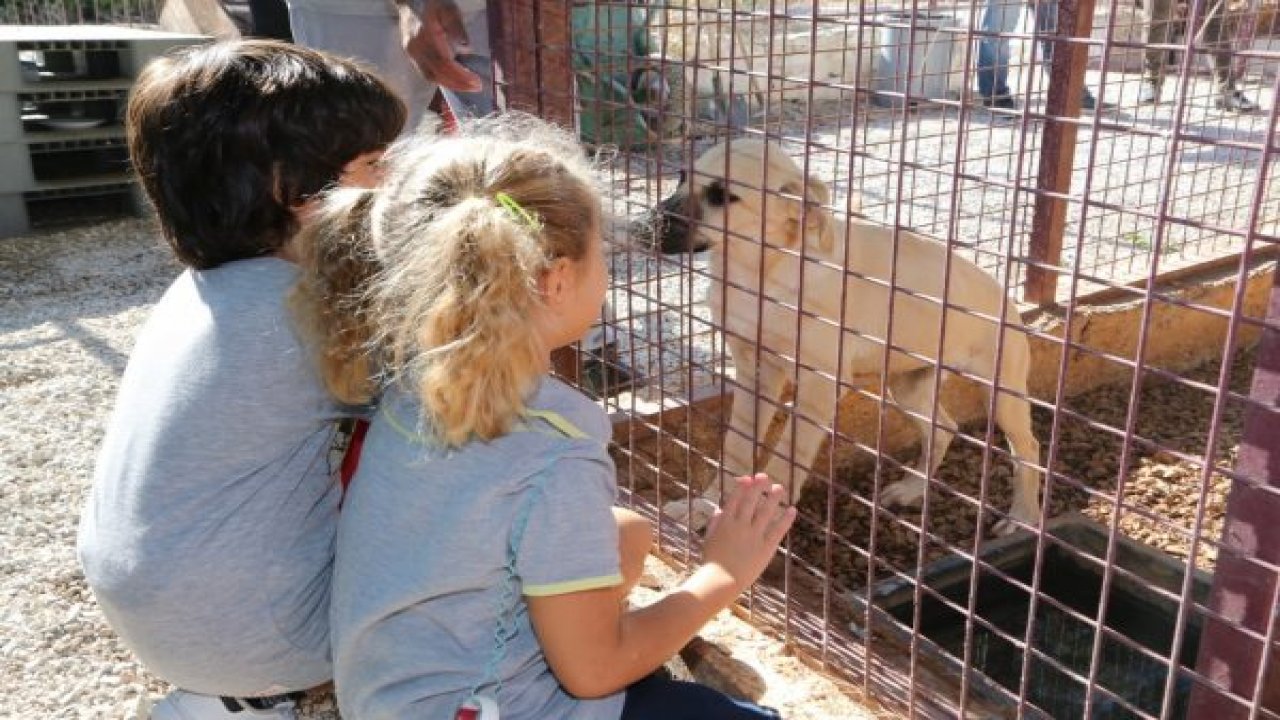 Öğrencilerden can dostlarına ziyaret