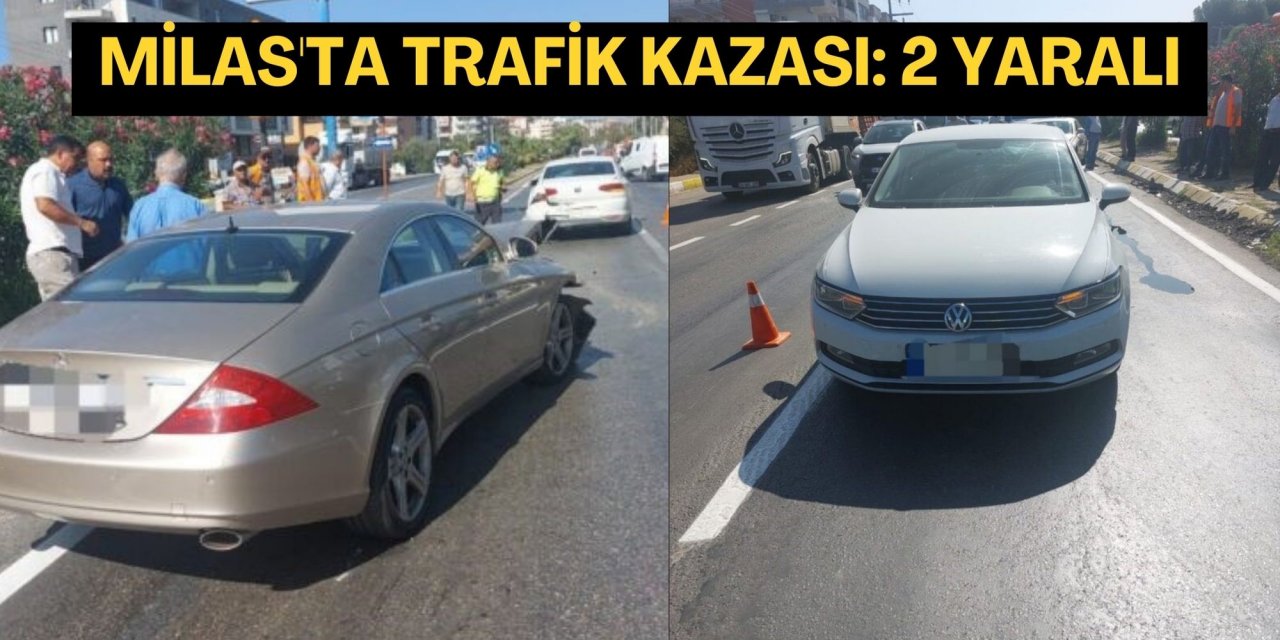 Milas'ta trafik kazası: 2 yaralı