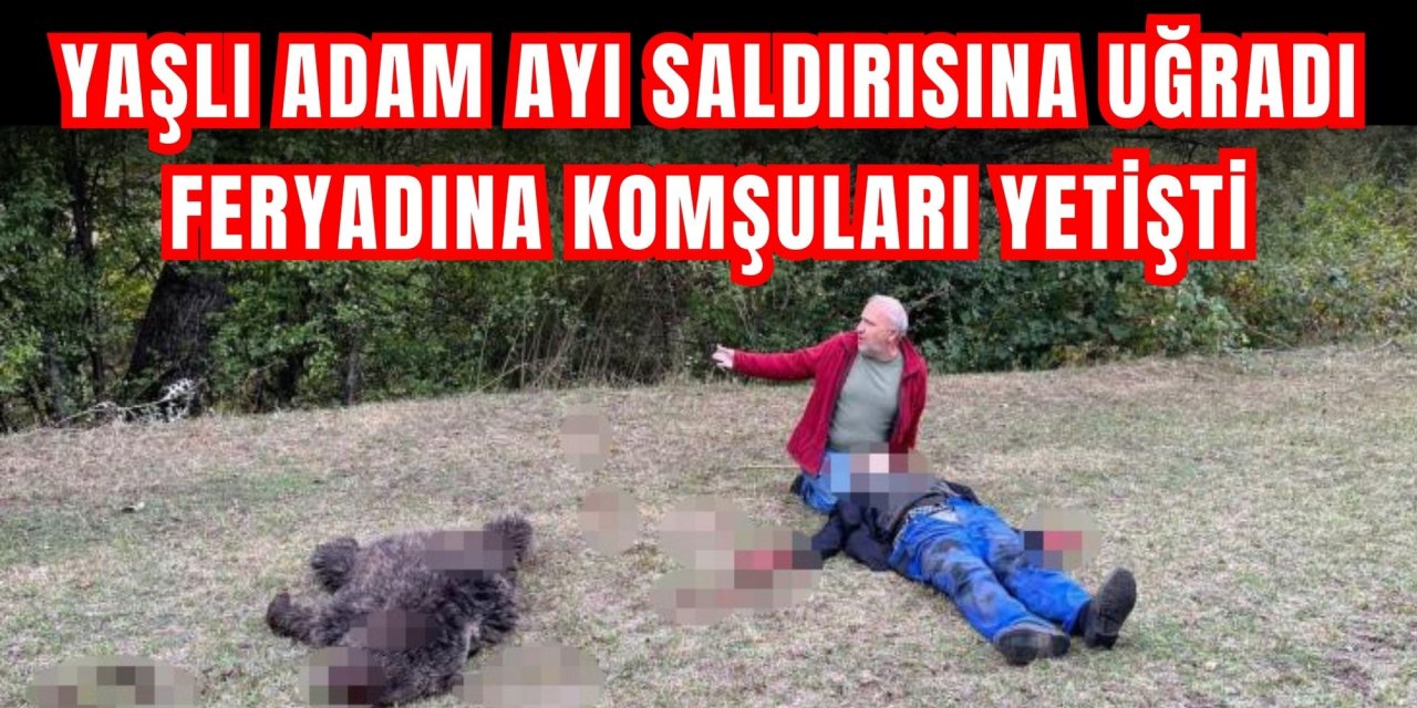 Yaşlı adam ayı saldırısına uğradı, feryadına komşuları yetişti