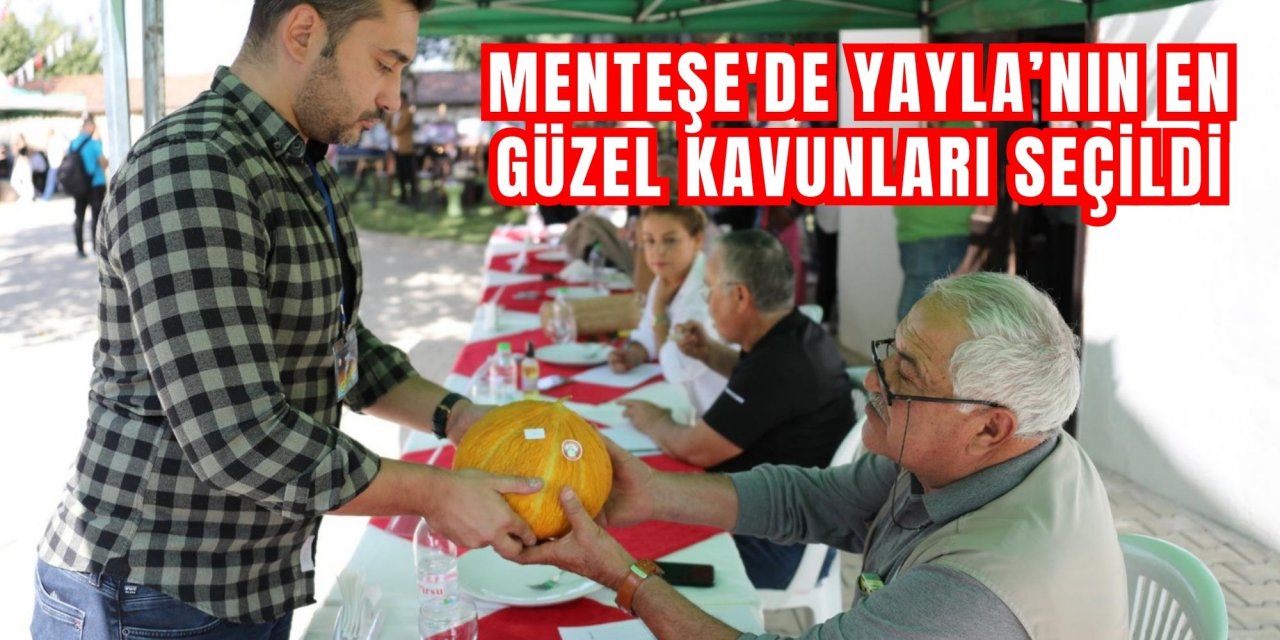 MENTEŞE'DE YAYLA’NIN EN GÜZEL KAVUNLARI SEÇİLDİ