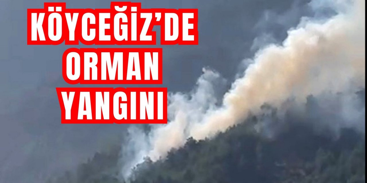 Köyceğiz Otmanlar’da orman yangını