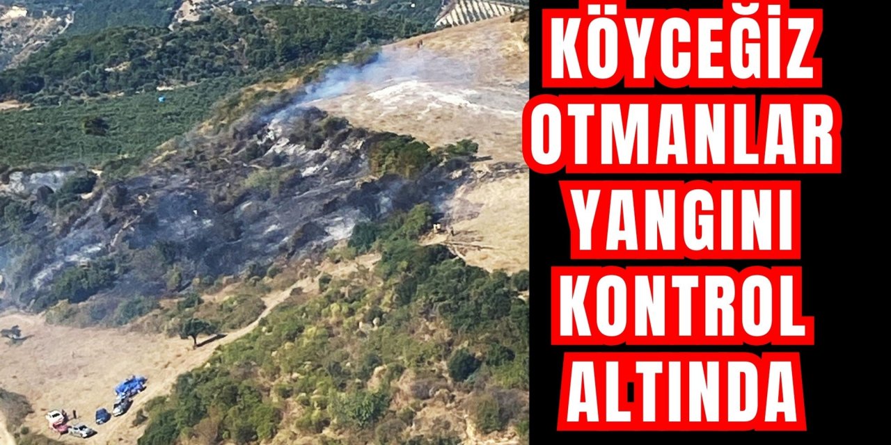 Köyceğiz Otmanlar yangını kontrol altında