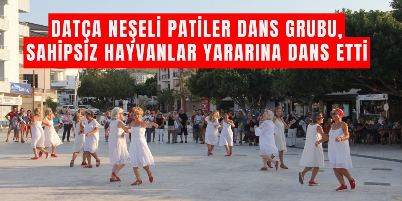 Datça Ne­şe­li Pa­ti­ler Dans Grubu, sahipsiz hay­van­la­r ya­ra­rı­na dans etti