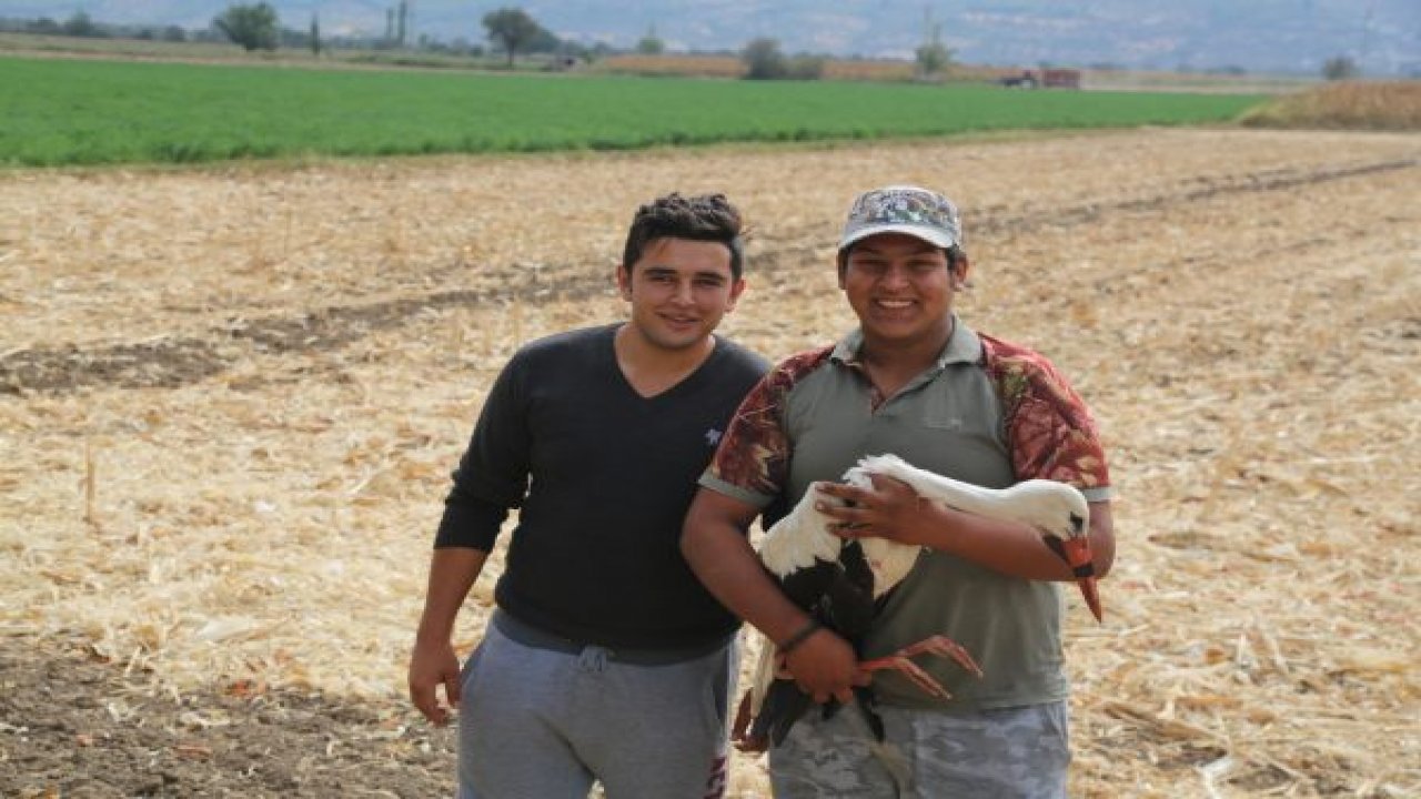 Yaralı leylek korumaya alındı