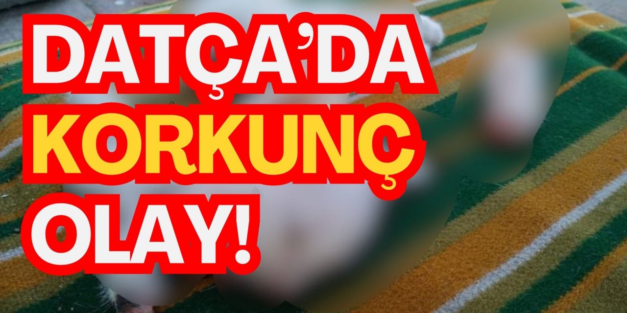 Datça’da korkunç olay!