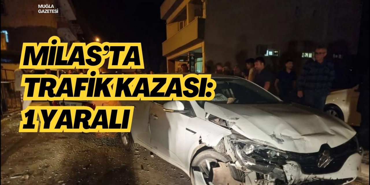 Milas’ta trafik kazası: 1 yaralı