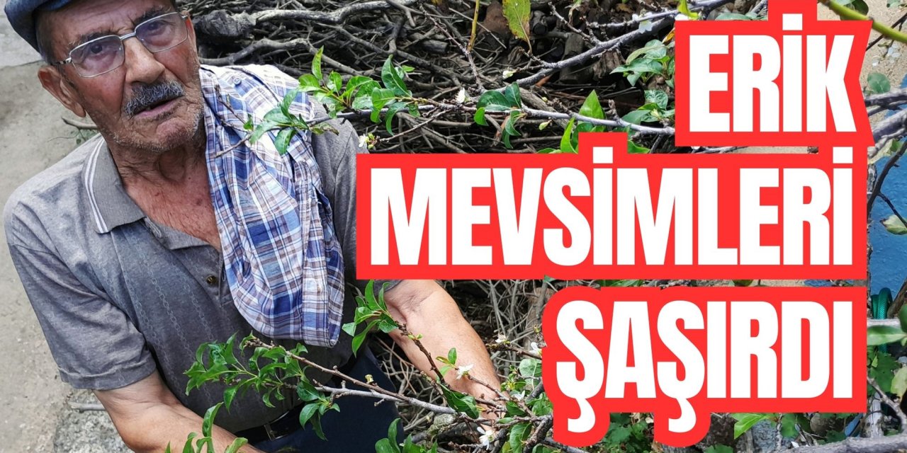 Erik mevsimleri şaşırdı