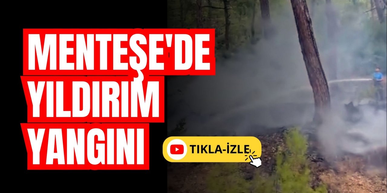 Menteşe'de yıldırım yangını
