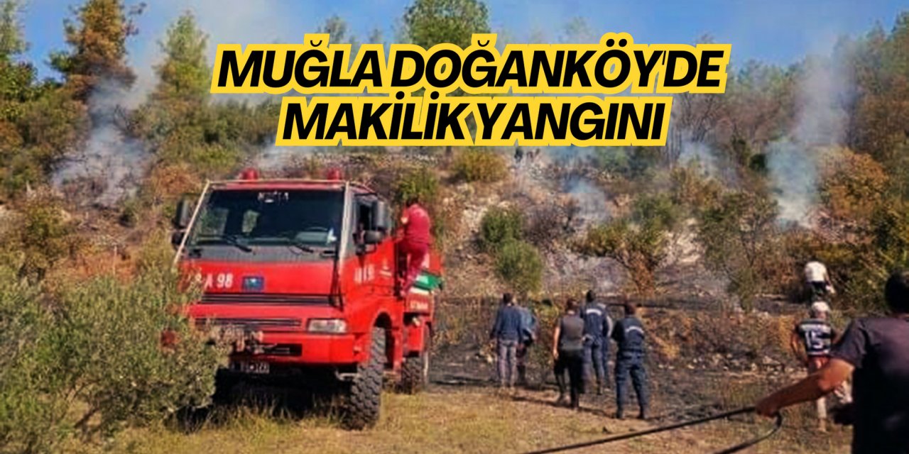 MUĞLA DOĞANKÖY'DE MAKİLİK YANGINI