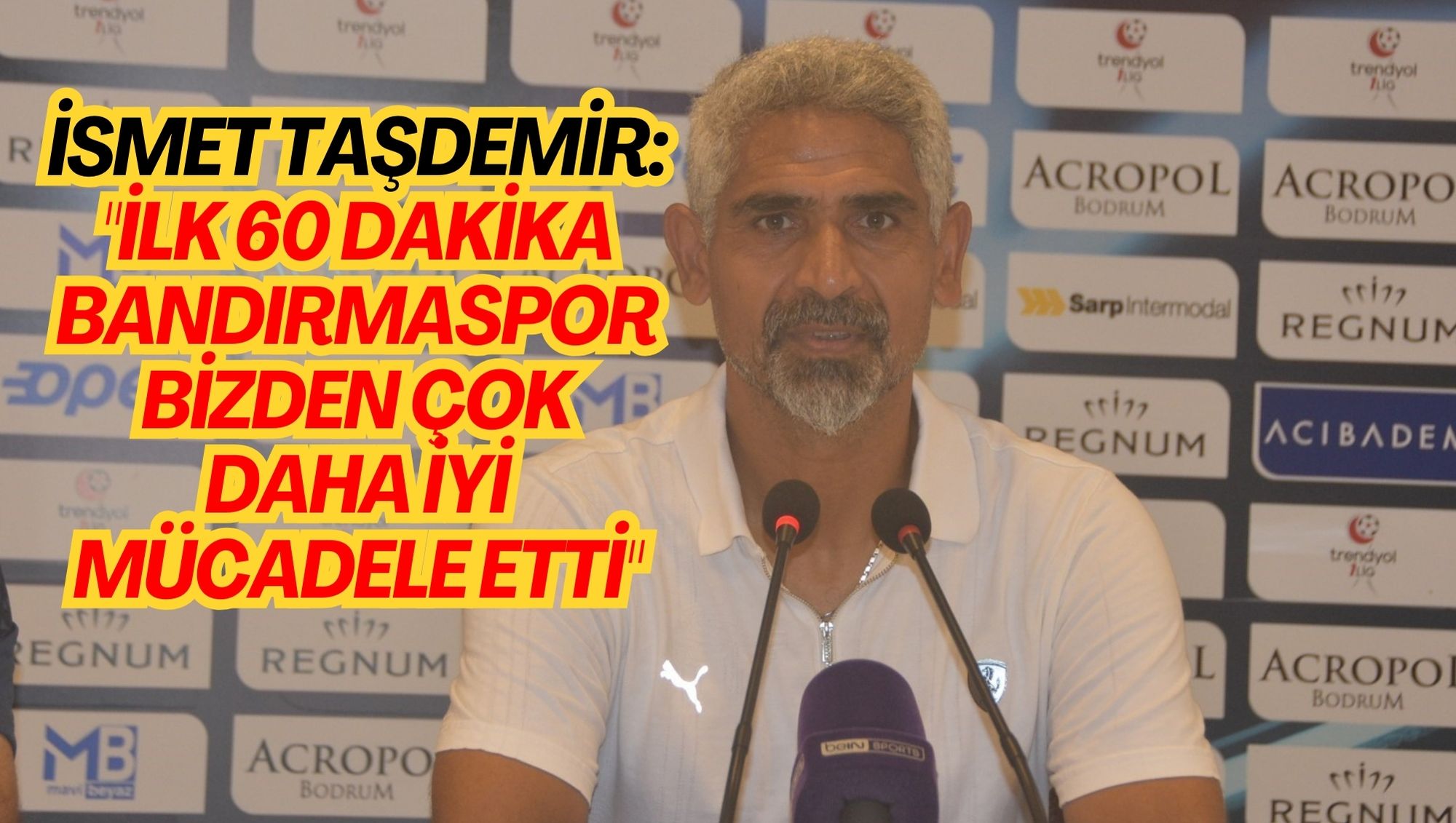 İsmet Taşdemir: 