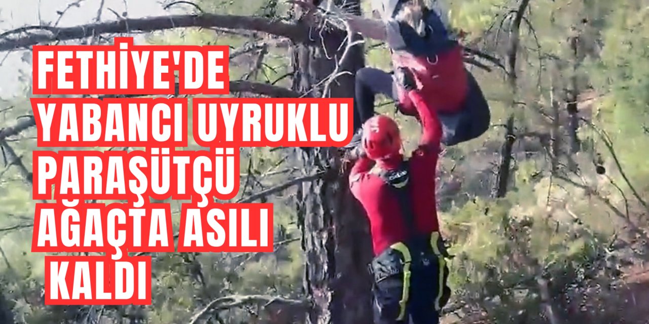 FETHİYE'DE YABANCI UYRUKLU PARAŞÜTÇÜ AĞAÇTA ASILI KALDI