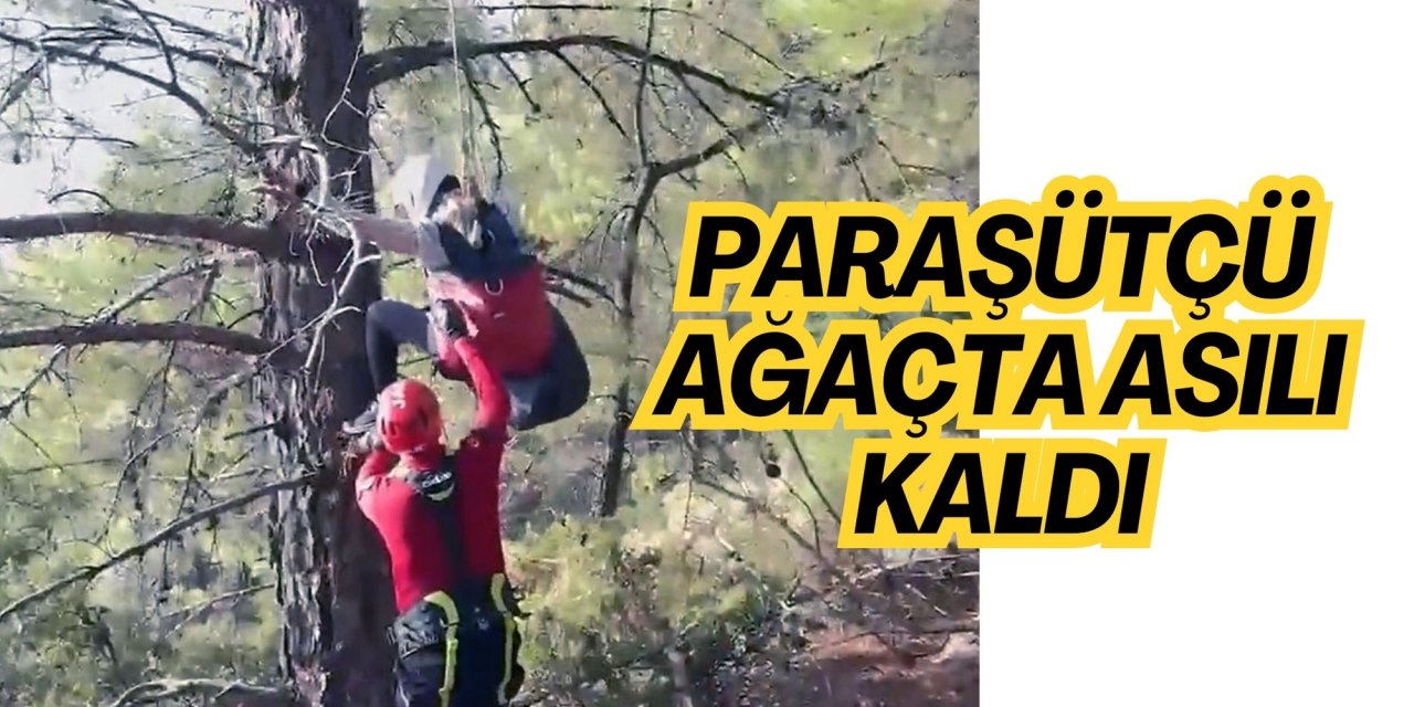 Paraşütçü ağaçta asılı kaldı