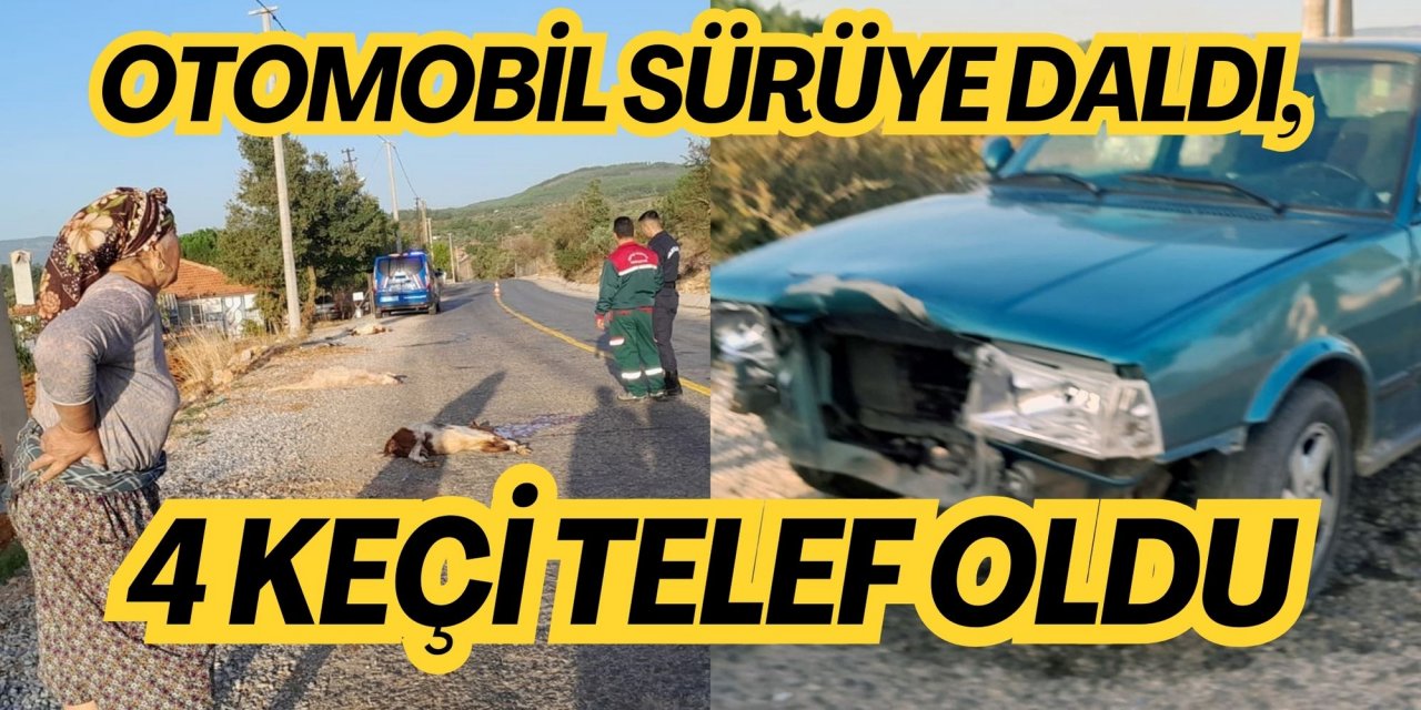 Otomobil sürüye daldı, 4 keçi telef oldu
