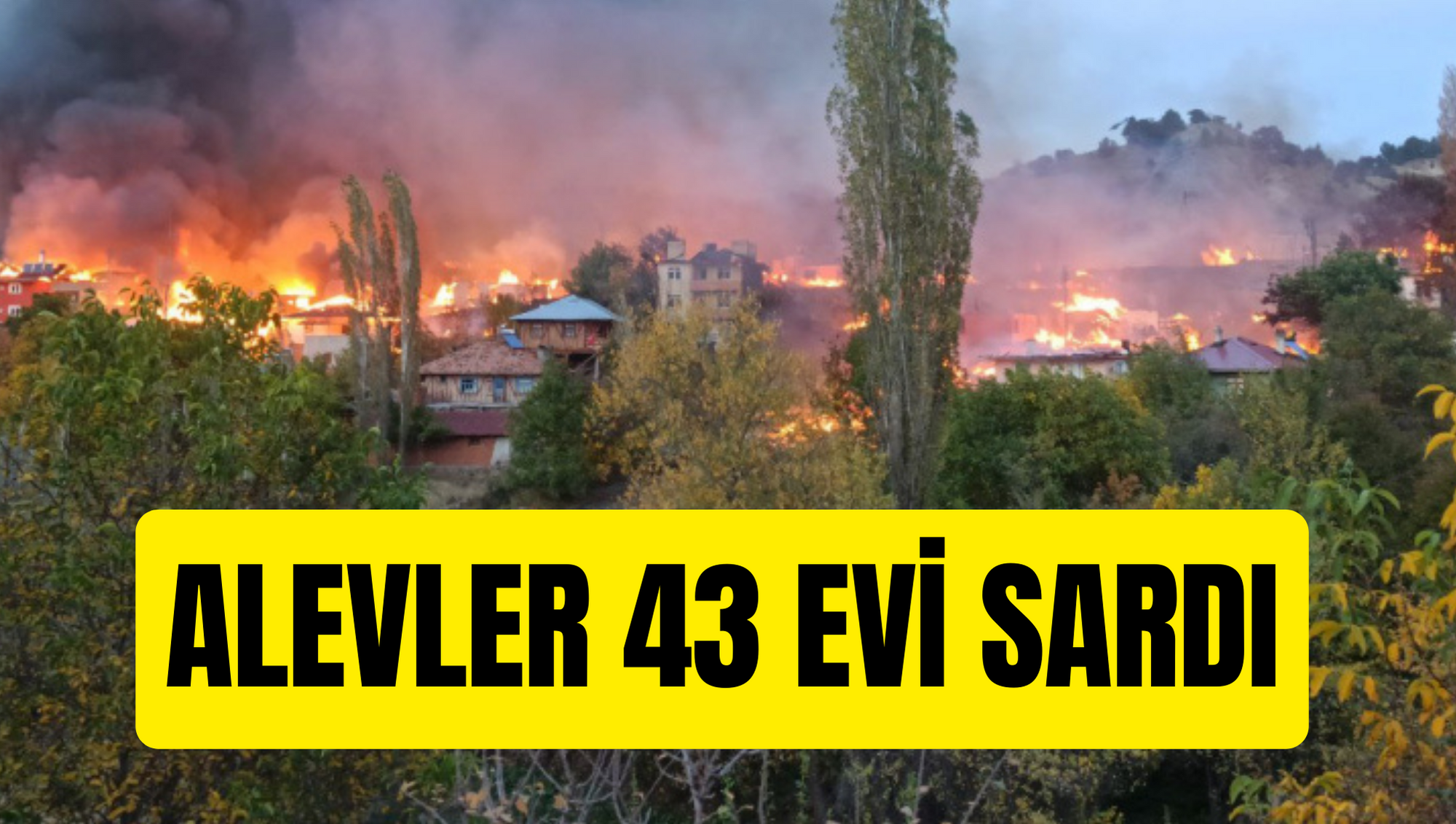 Alevler 43 evi sardı