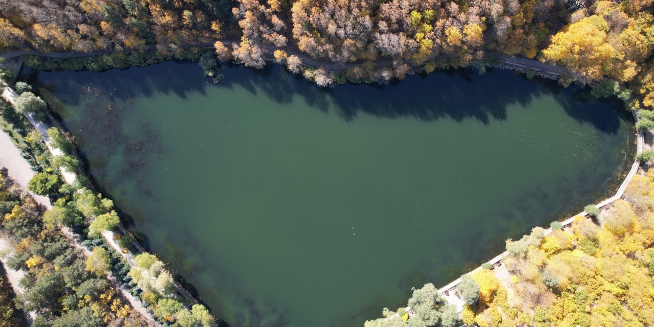 Sarının her tonunu barındıran yüzlerce ağaç kartpostalları aratmıyor