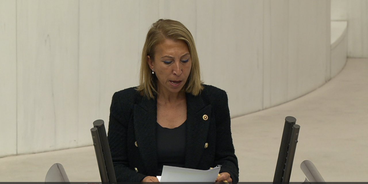 CHP’LI DERICI: “DIŞ POLITIKA MESELELERI IÇ POLITIKADAKI ÇIKARLAR UĞRUNA ISTISMAR EDILEMEZ