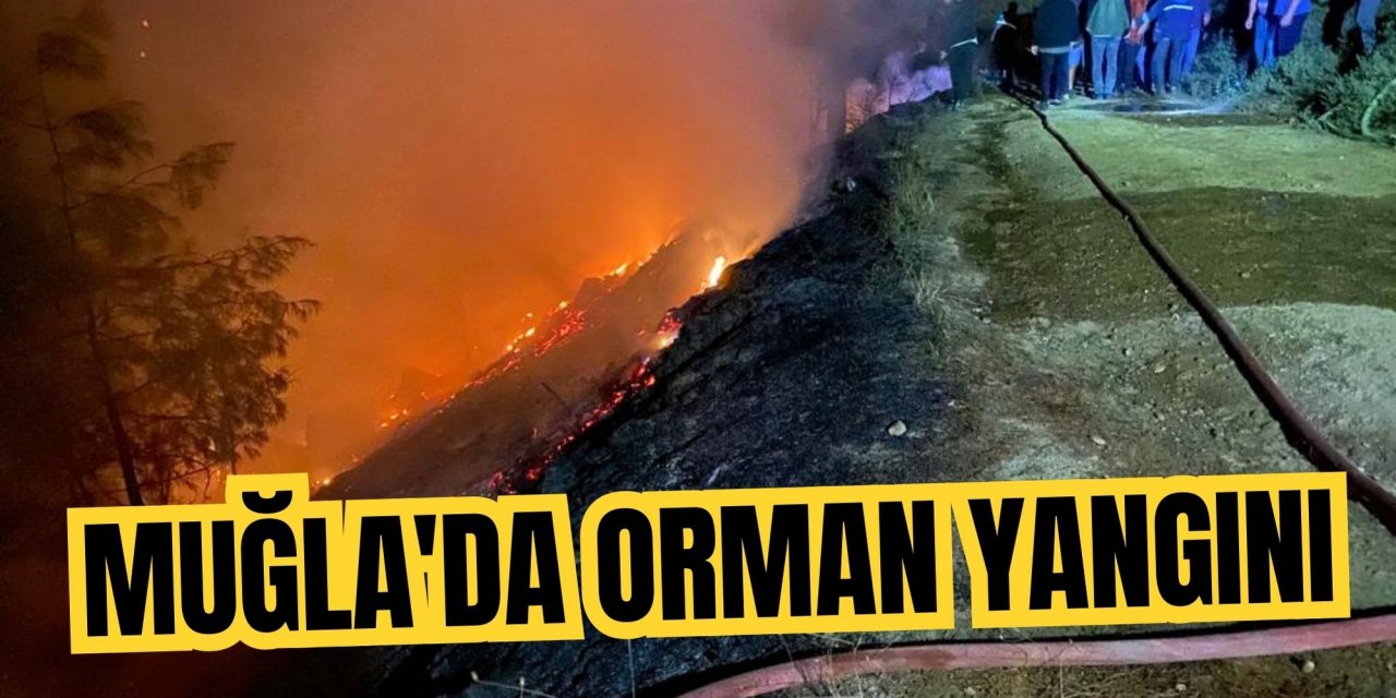 Muğla'da orman yangını